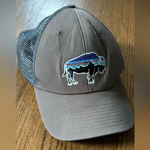 Patagonia Bison Trucker Hat Gray